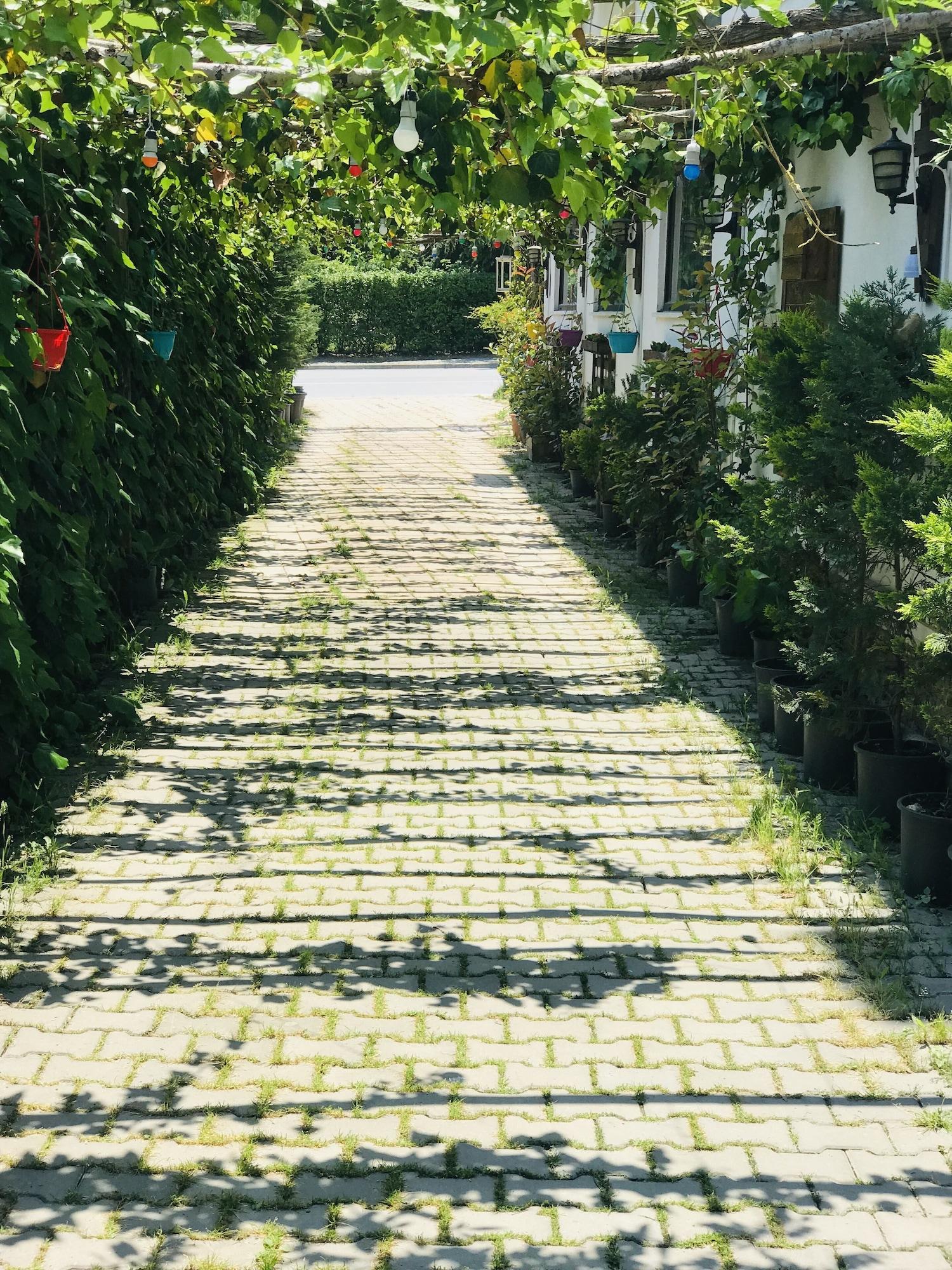 Sahra Butik Hotel Sapanca Kültér fotó